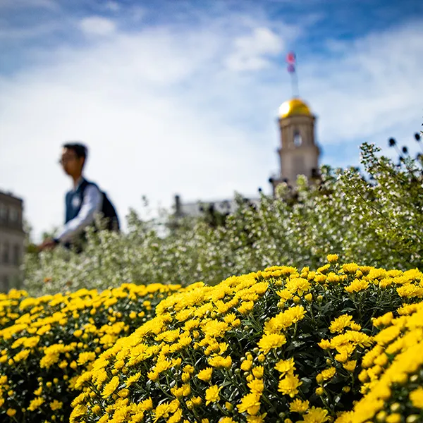 flower at University of Iowa