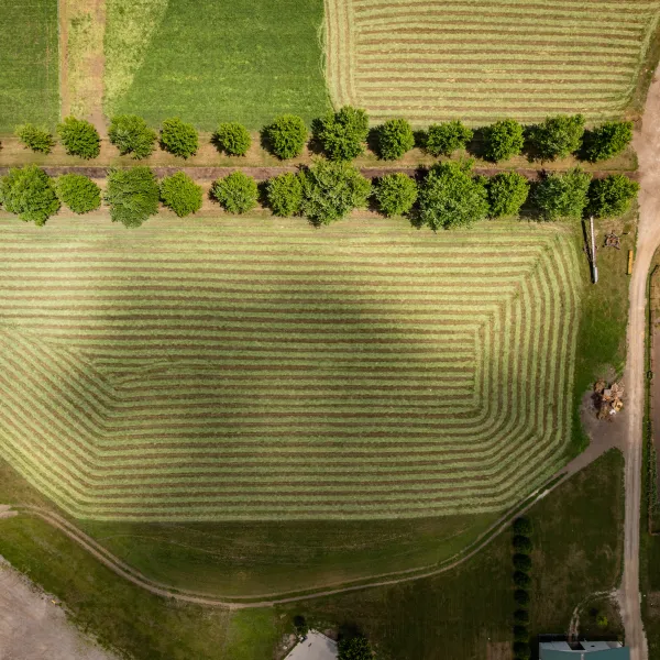 Farm in Kalona