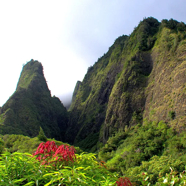 Hawaii scenery